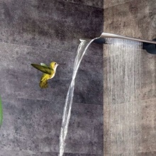 Wall-mounted tropical shower